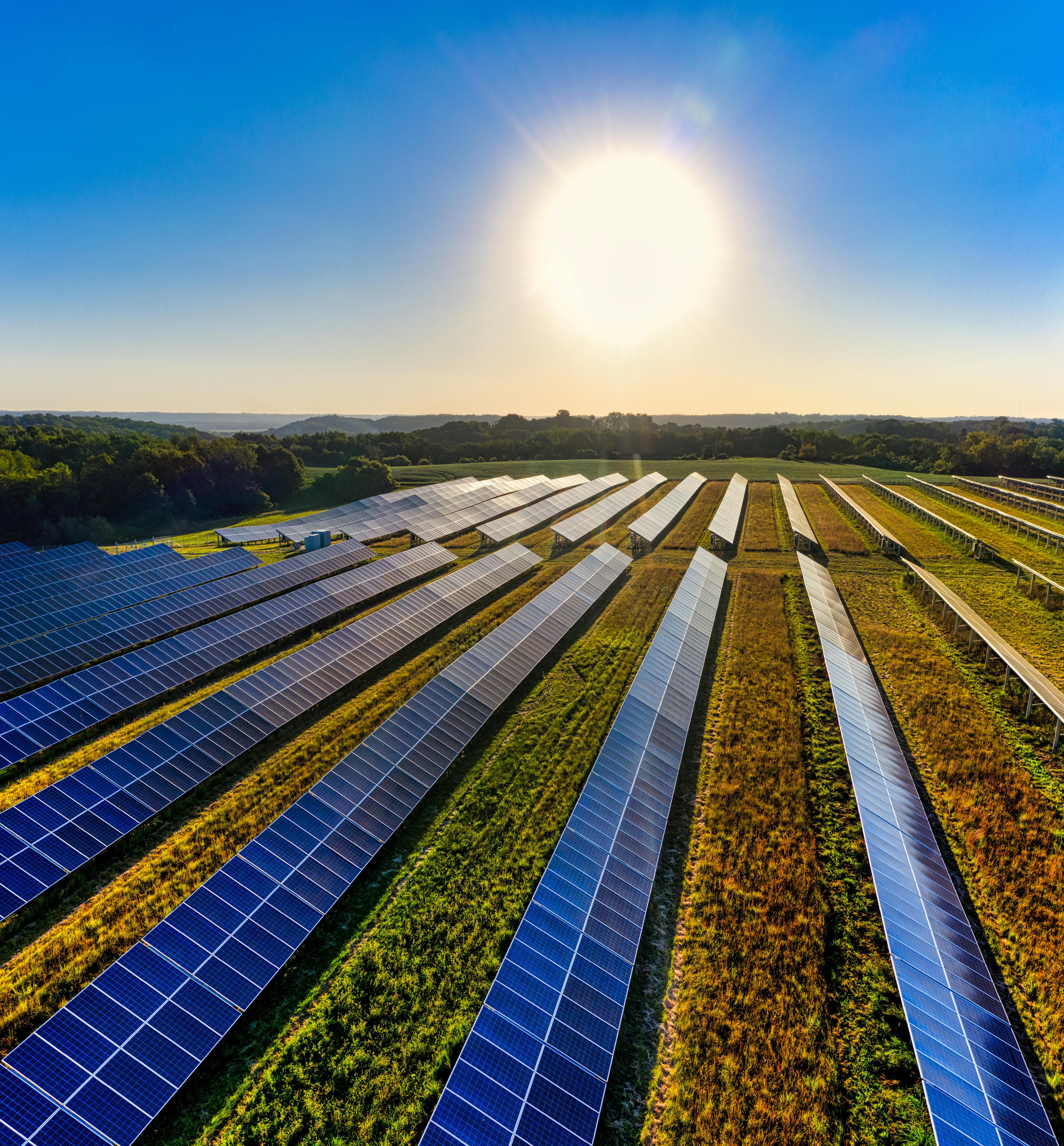 Solar Agrícola